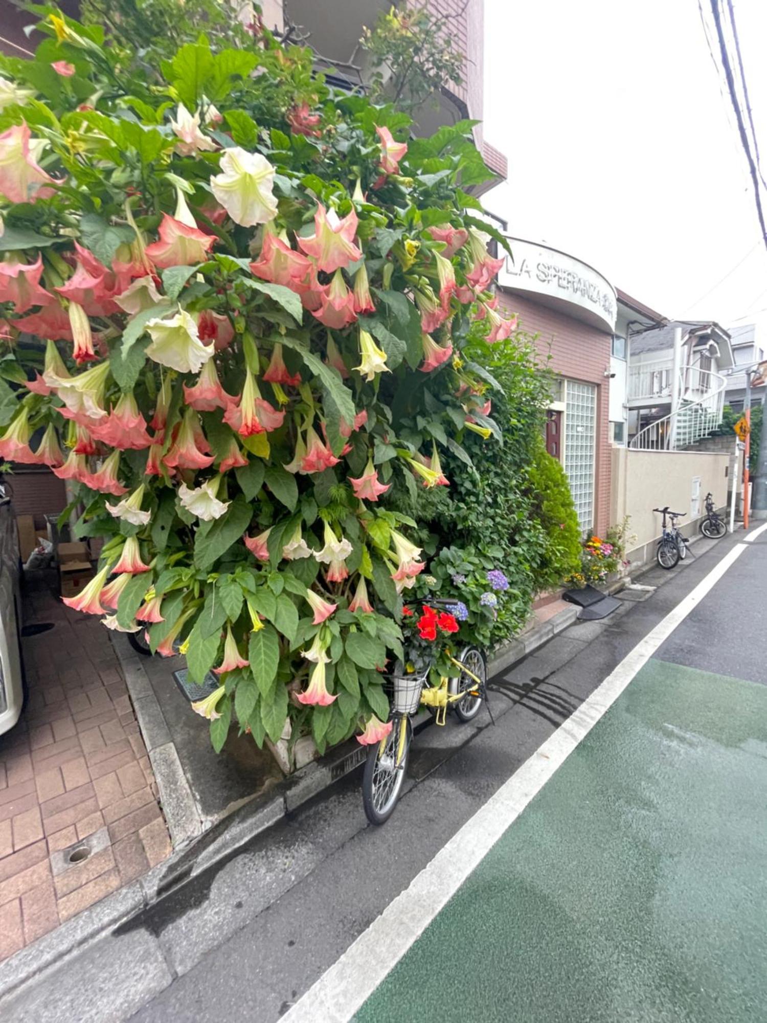 新宿庭院の屋-Shinjuku Garden Home -28 Square Meters King Size Bed Garden Room Токио Екстериор снимка