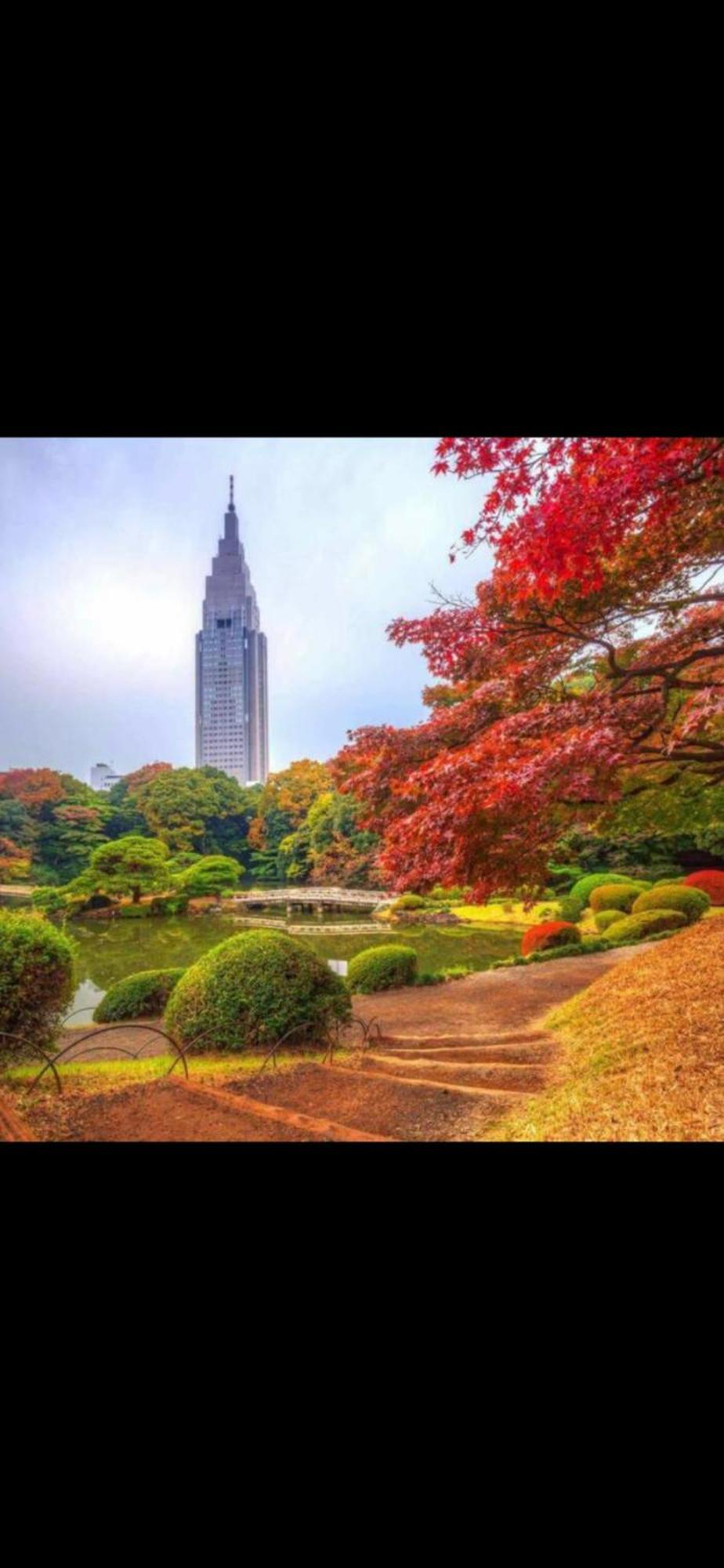 新宿庭院の屋-Shinjuku Garden Home -28 Square Meters King Size Bed Garden Room Токио Екстериор снимка