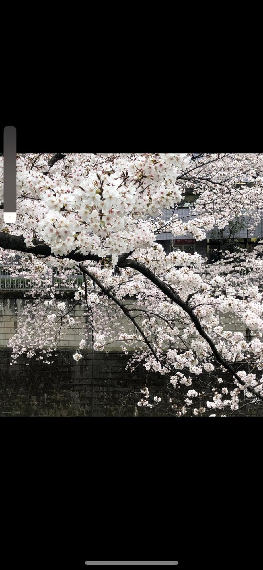 新宿庭院の屋-Shinjuku Garden Home -28 Square Meters King Size Bed Garden Room Токио Екстериор снимка